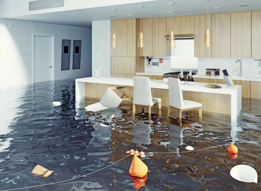 Preventing Mold Growth After Water Damage Restoration in Rockville, MD